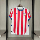 CAMISA PARAGUAI - CASA/ HOME - TORCEDOR - 24/25