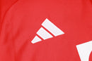 KIT PRÉ JOGO - BAYERN DE MUNIQUE - VERMELHO - 24/25