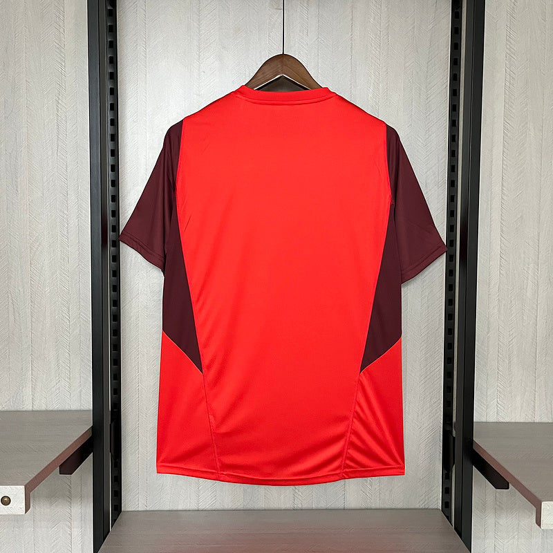 CAMISA INTERNACIOAL - TREINO/ TRAINING - TORCEDOR - 24/25