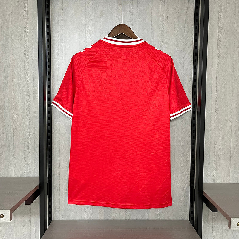 CAMISA DINAMARCA - CASA/ HOME - TORCEDOR - 24/25