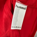 CAMISA DINAMARCA - CASA/ HOME - TORCEDOR - 24/25