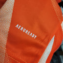 CAMISA BAYERN DE MUNIQUE - TREINO - TORCEDOR - 23/24