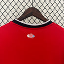 CAMISA LILLE - CASA/ HOME - TORCEDOR - 24/25