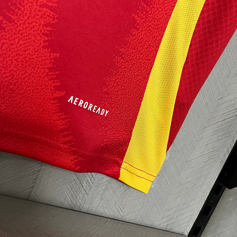 CAMISA ESPANHA - CASA/ HOME - TORCEDOR - 24/25