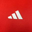 CAMISA INTERNACIOAL - TREINO/ TRAINING - TORCEDOR - 24/25