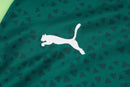KIT PRÉ JOGO - PALMEIRAS - VERDE - 24/25