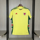 CAMISA PAIS DE GALES - FORA/ AWAY - TORCEDOR - 24/25