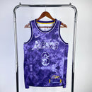 CAMISA NBA LOS ANGELES LAKERS - LEBRON JAMES - SELECT EDITION - 2024 NOVA