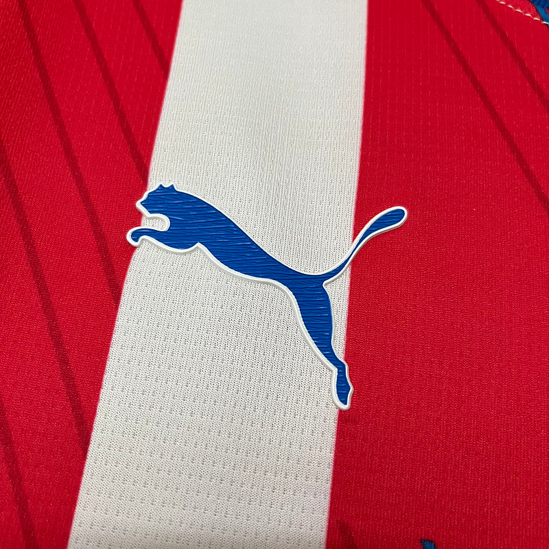 CAMISA PARAGUAI - CASA/ HOME - TORCEDOR - 24/25