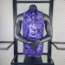 CAMISA NBA LOS ANGELES LAKERS - LEBRON JAMES - SELECT EDITION - 2024 NOVA