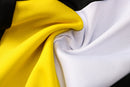 KIT PASSEIO - BORUSSIA DORTMUND - AMARELO E BRANCO