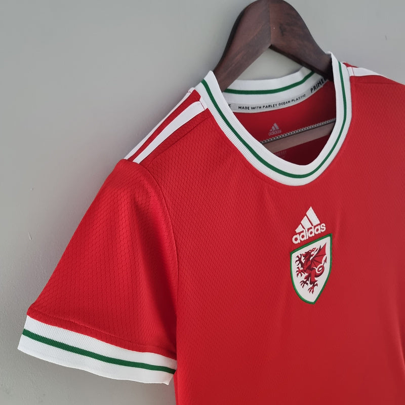 CAMISA PAÍS DE GALES - CONCEITO - FEMININO - 22/ 23