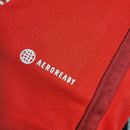 CAMISA INTERNACIONAL - CASA/ HOME - TORCEDOR - 23/24