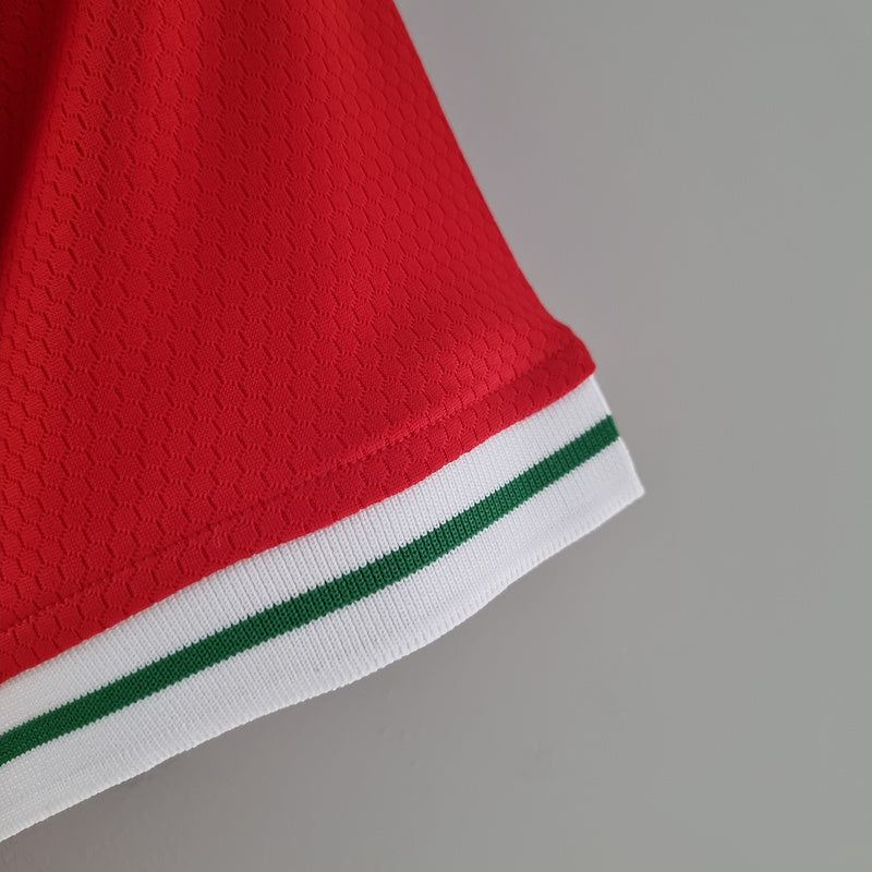 CAMISA PAÍS DE GALES - CONCEITO - FEMININO - 22/ 23